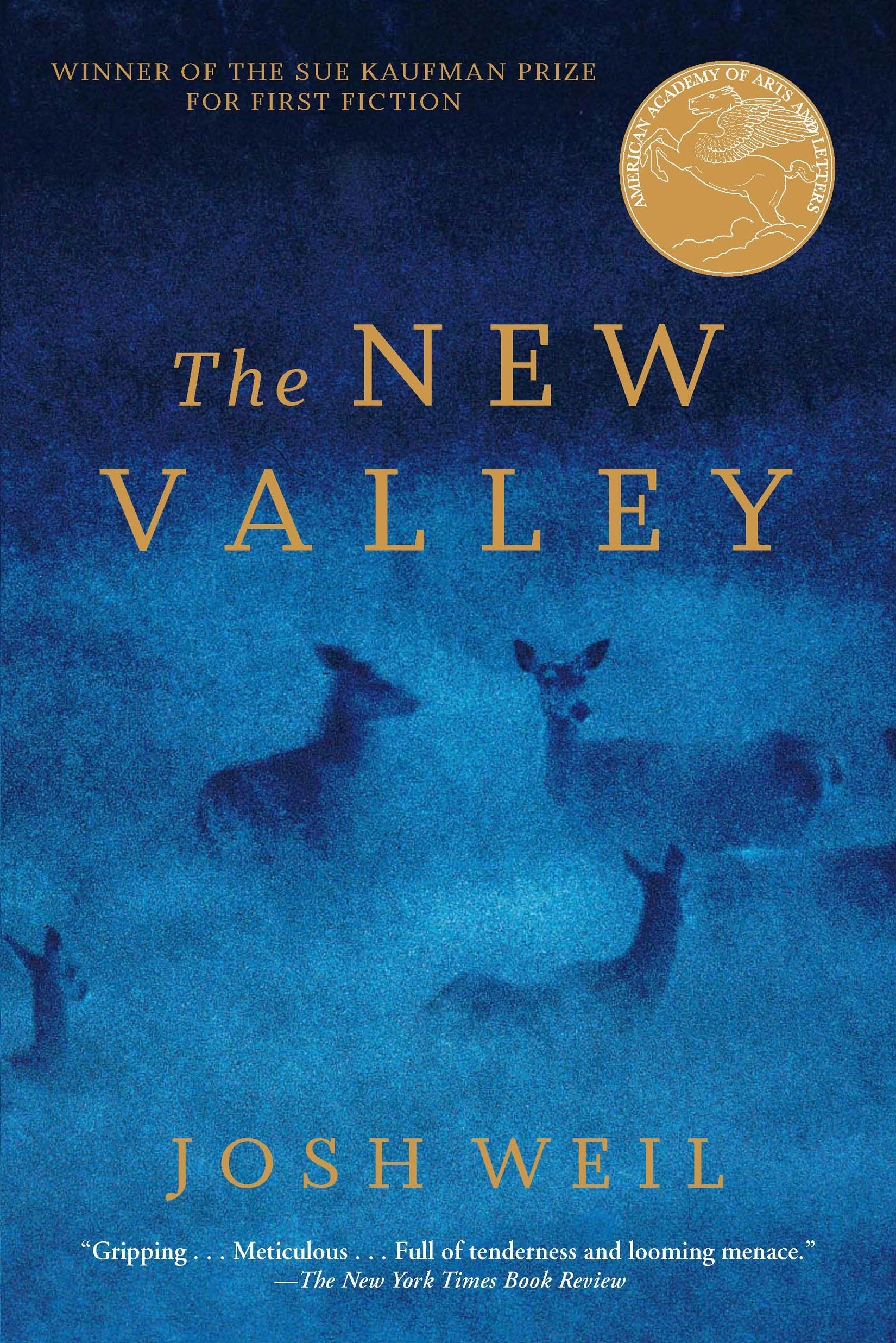 The New Valley