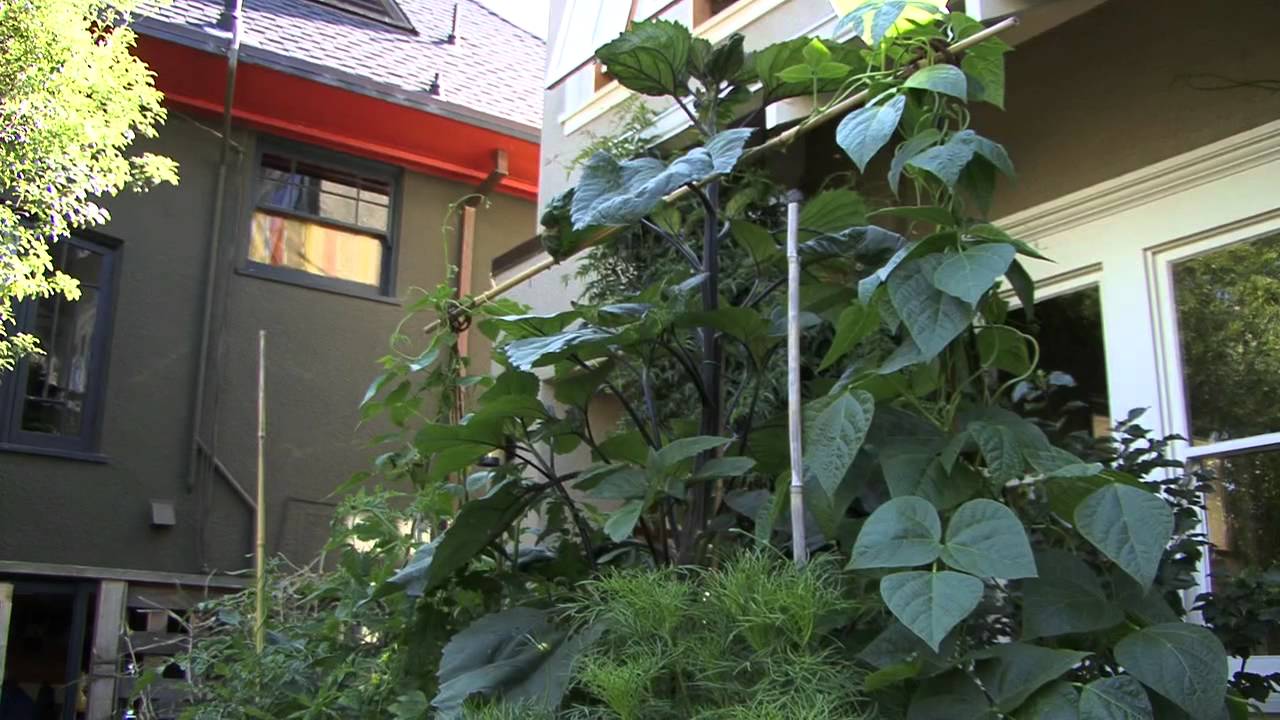 youtube placeholder image